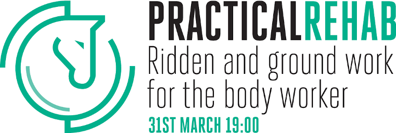 Practical Rehab: ridden and ground exercises for the body worker